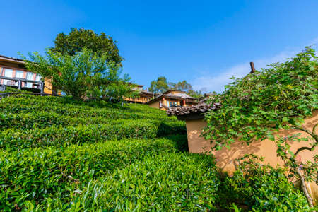 Baan Rak Thai in Mae Hong Son Province in Thailandの写真素材