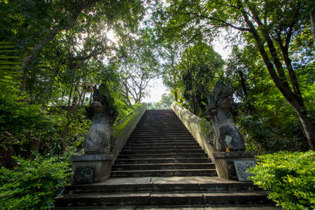 Stair with a Naga statue at Umong Temple, Chiang Mai Province in Thailandの写真素材