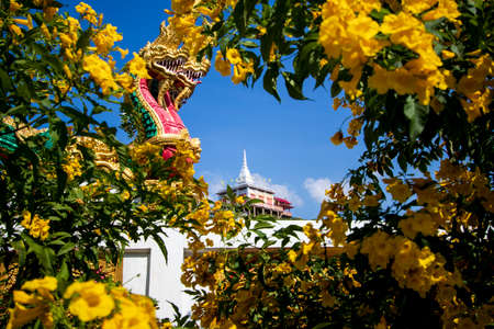 Naga statues and pagodas in yellow flower framesの写真素材
