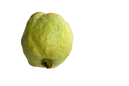 Fresh guava fruit isolated on a white background.の写真素材