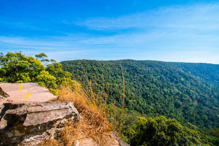 Beautiful natural scenery with trees and mountains with a blue sky behind