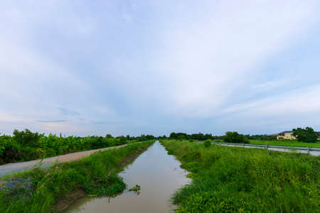 Water canal for agriculture in Ayutthaya province in Thailandの写真素材