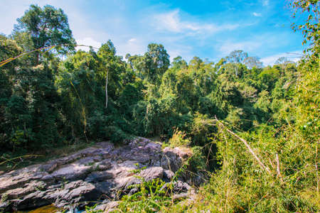 Natural rocks and beautiful green trees under the blue sky.の写真素材