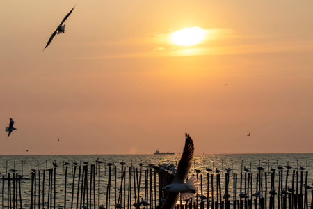 Beautiful sea and sky views after sunset with the reflection of the sun on the sea in the evening in Thailand.の写真素材