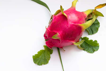 Red fresh fruit dragon fruit with leaves on white backgroundの写真素材