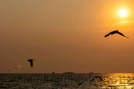 Beautiful sea and sky views after sunset with the reflection of the sun on the sea in the evening in Thailand.の写真素材