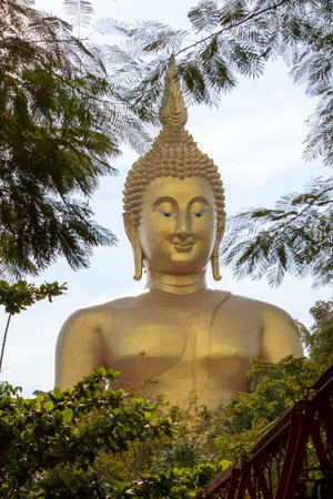 A large golden yellow Buddha image at Wat Muang, an important religious attraction in Ang Thong Province in Thailand.の写真素材
