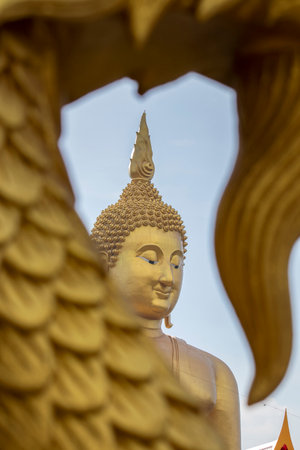 A large golden yellow Buddha image at Wat Muang, an important religious attraction in Ang Thong Province in Thailand.の写真素材