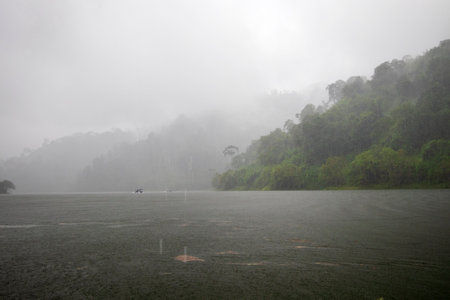 Beautiful natural scenery under rain clouds and overcast skies in Thailand.の写真素材