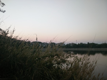 sunsetの写真素材