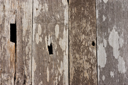 texture of wood