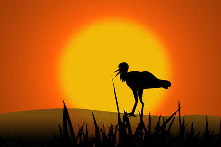animal on silhouetteの写真素材