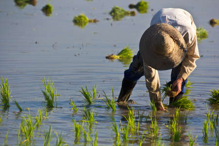 a farmerの写真素材