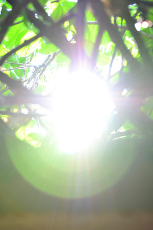 Backlight