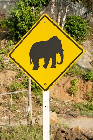 elephant crossing road sign near phuket thailandの写真素材