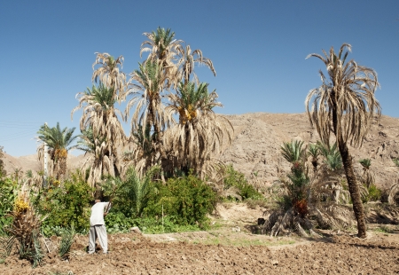 persian farmers in garmeh oasis near yazd in iranのeditorial素材