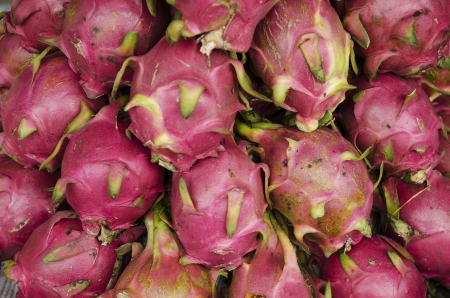 tropical dragon fruit in vietnam marketの写真素材