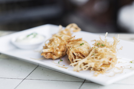 asian vegetable fried spring rolls setの写真素材