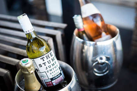 mixed bottles of gourmet wine in ice chiller bucket at bar