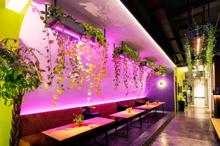 contemporary asian interior design with hanging plants at restaurant in bangkok thailand