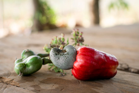 organic asian whole cashew fruit outdoors in thailand farm on rustic wood backgroundの写真素材