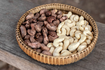 peeled and unpeeled organic cashew nuts in cambodian farmの写真素材