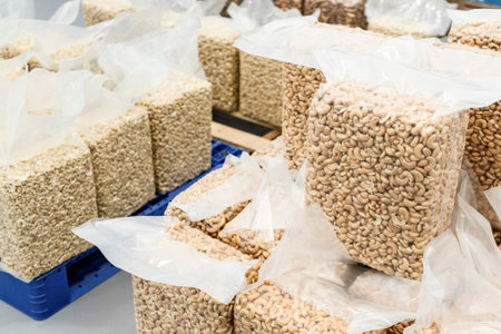 large plastic vacuum packs of wholesale cashew nuts in export warehouse