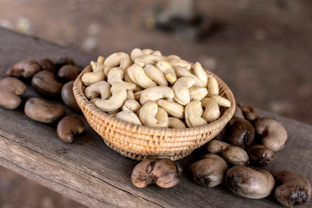 peeled organic cashew nuts in cambodian farmの写真素材
