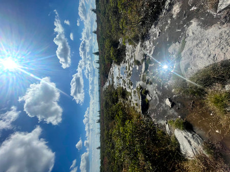 Dolly Sods Rocky Ridge Trail with sun glare and scenic viewsの写真素材