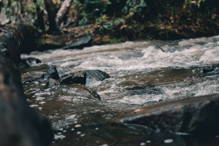 rushing water with leaves and foliage in the backgroundの写真素材