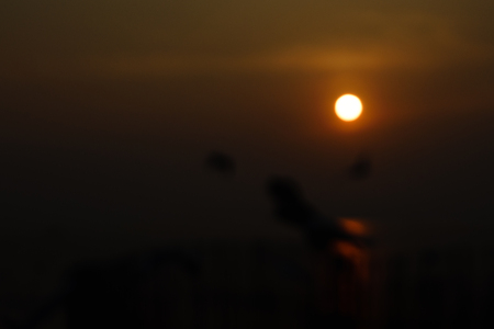 the sunset light at blurの写真素材