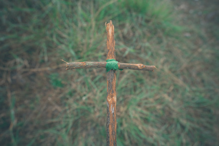 The cross with nature in the forest on the hill is the Blackground.の写真素材