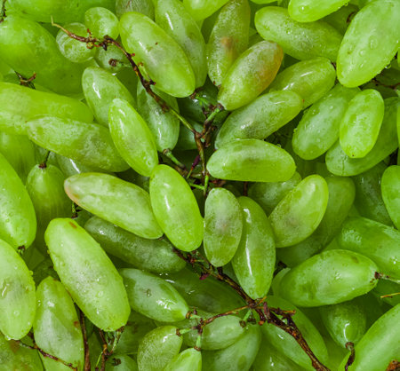 Green grapes background. Close up of green grape texture. Top view.の写真素材