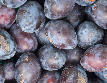 close up of fresh plums. top viewの写真素材