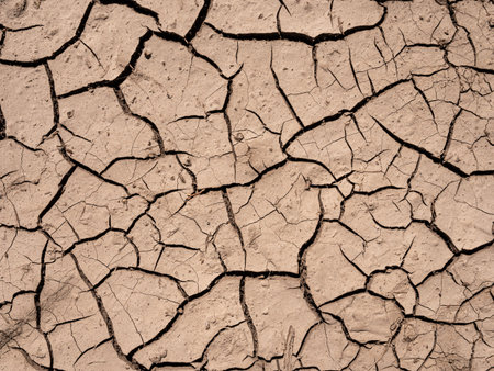 Brown dry soil or cracked ground. close up texture background. dry cracked earth texture