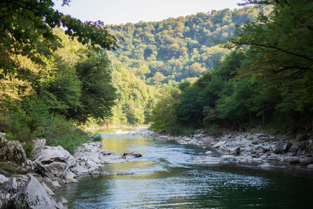 small mountain river in the forest. High quality photo