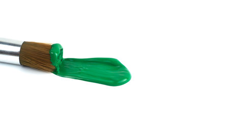 A paintbrush rests beside a puddle of green paint on a clean surfaceの写真素材