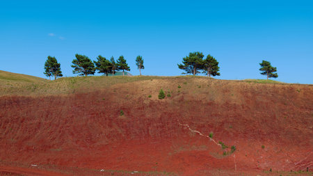 A vivid landscape featuring trees on a vibrant red hill under bright blue skies