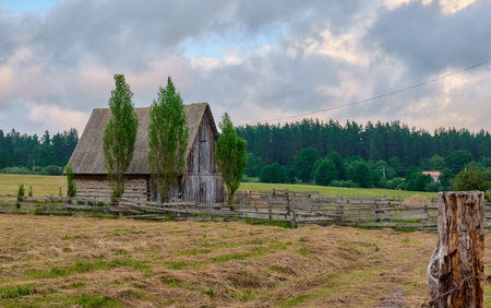 A rustic barn stands in a field, framed by tall trees and a cloudy sky