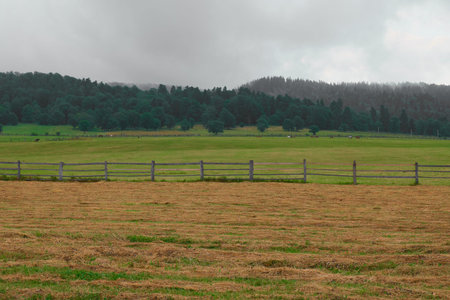 Rolling green fields with cloudy skies in a tranquil rural landscape