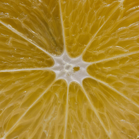 Fresh lemon slice reveals vibrant texture and detailsの写真素材