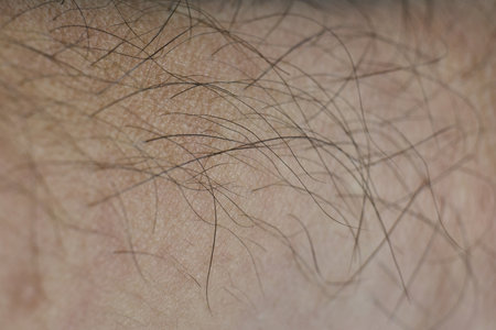 Detailed look at fine hair on human skin surfaceの写真素材