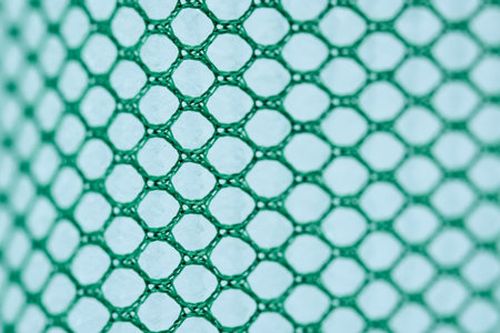 Close-up view of green mesh with hexagonal shapes