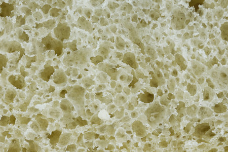 Detailed view of soft bread with bubbles and texture.の写真素材