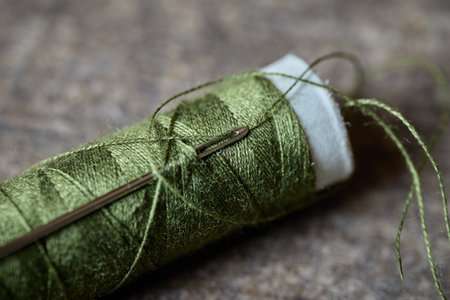 Green embroidery thread is placed next to a needleの写真素材