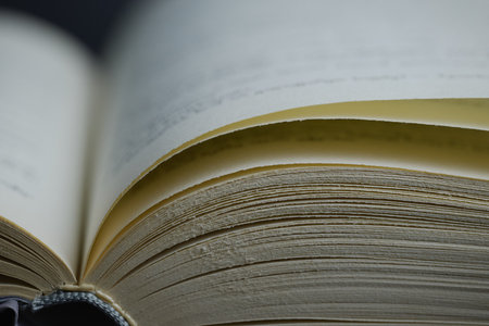 Close view of curled paper with visible lines and textureの写真素材