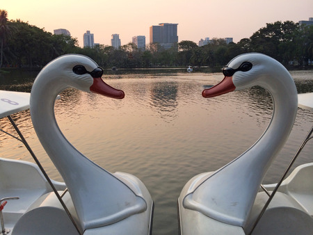 Couple Swan Boats Style Floating Together like Heart Shape used as Template Background Textureの写真素材