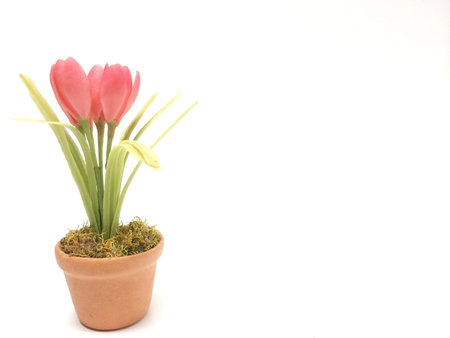 Pink Artificial Tulip in Small Flowerpot at The Corner on White Background used as Templateの写真素材