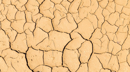 Abstract Pattern Line of Natural Cracked Ground in Countryside with Light Brown Soil Color...