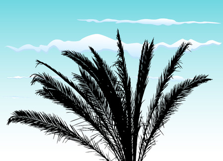 palm tree のイラスト素材